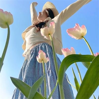 游侠追凶